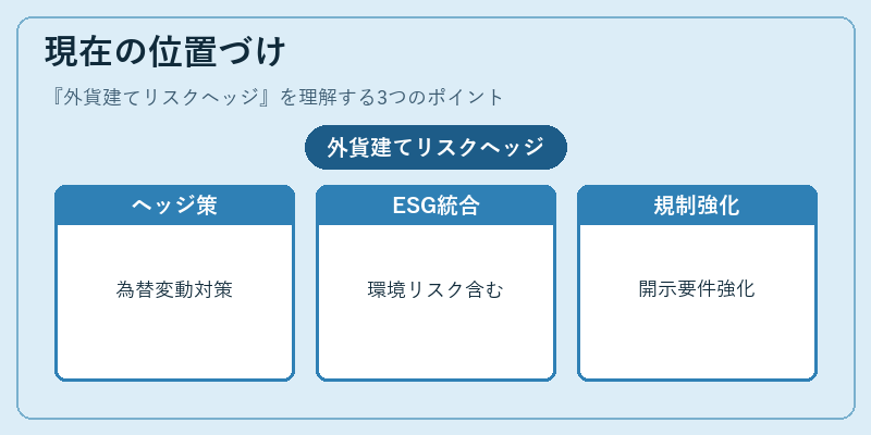 現在の位置づけ(外貨建てリスクヘッジ)の図解