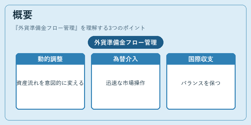 概要(外貨準備金フロー管理)の図解