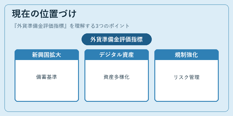 現在の位置づけ（外貨準備金評価指標）の図解