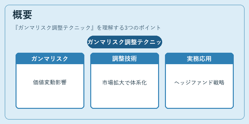 概要（ガンマリスク調整テクニック）の図解