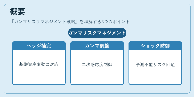 概要（ガンマリスクマネジメント戦略）の図解