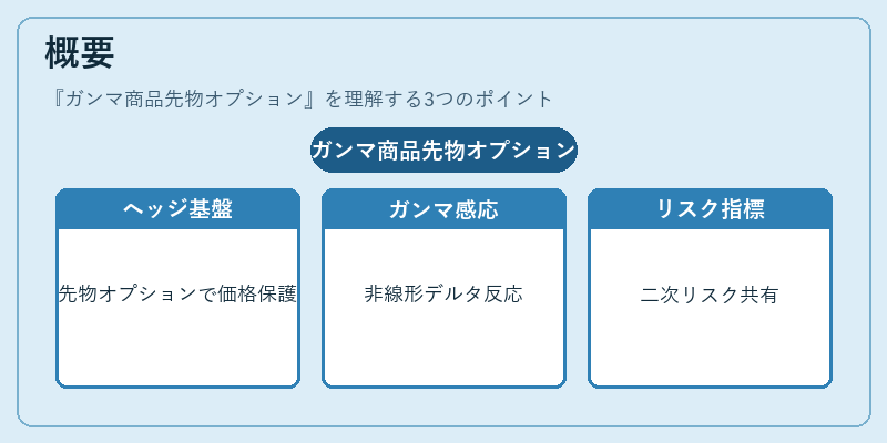 概要（ガンマ商品先物オプション）の図解