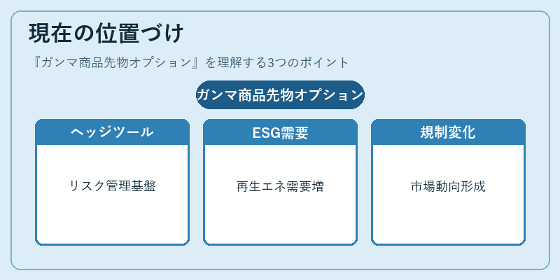 現在の位置づけ（ガンマ商品先物オプション）の図解