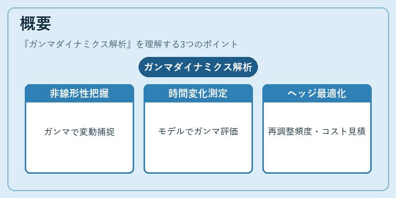 概要（ガンマダイナミクス解析）の図解