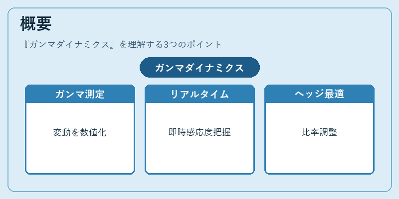 概要（ガンマダイナミクス）の図解