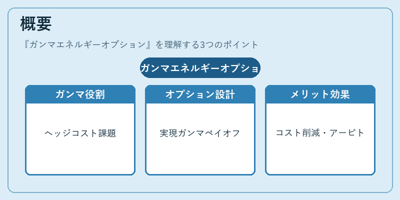概要（ガンマエネルギーオプション）の図解