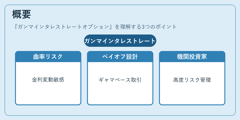 概要（ガンマインタレストレートオプション）の図解