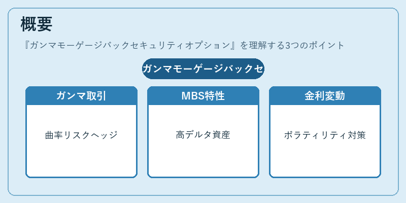概要（ガンマモーゲージバックセキュリティオプション）の図解