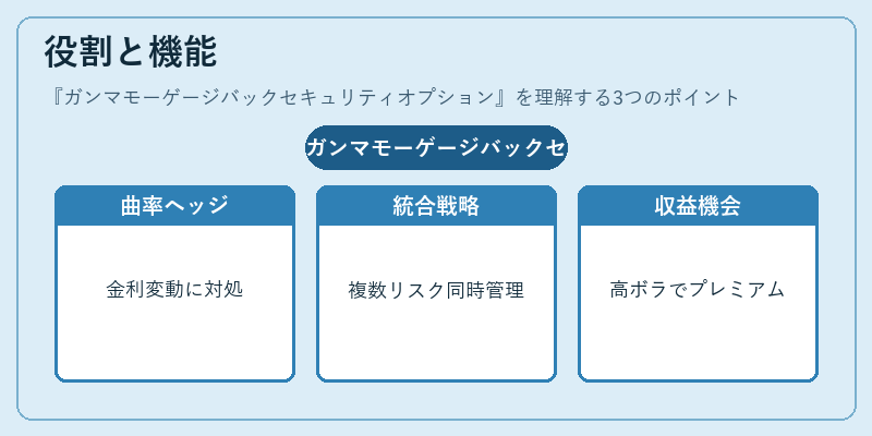 役割と機能（ガンマモーゲージバックセキュリティオプション）の図解