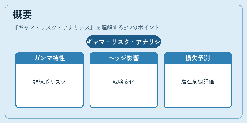 概要（ギャマ・リスク・アナリシス）の図解