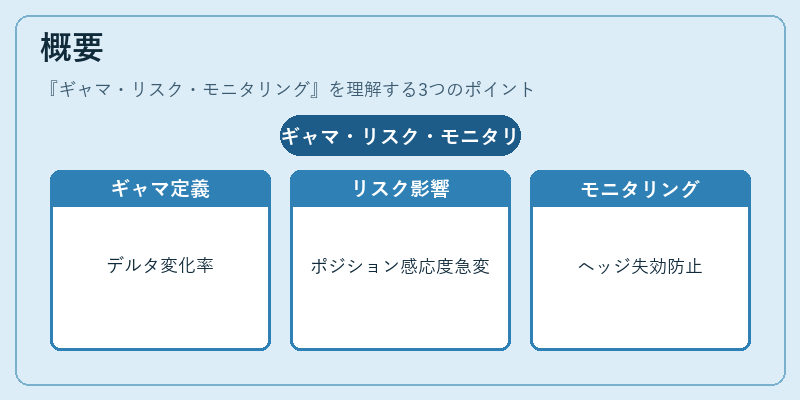 概要（ギャマ・リスク・モニタリング）の図解