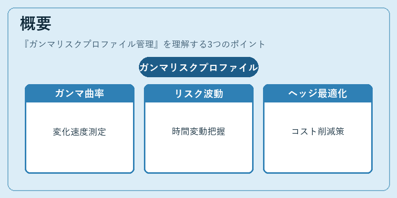 概要（ガンマリスクプロファイル管理）の図解