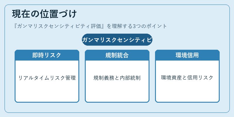 現在の位置づけ（ガンマリスクセンシティビティ評価）の図解