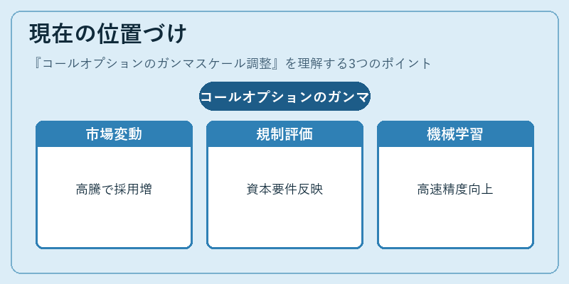 現在の位置づけ（コールオプションのガンマスケール調整）の図解