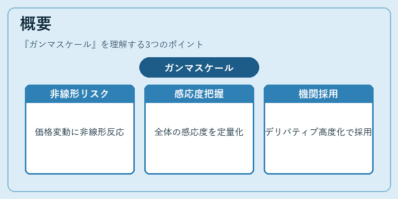 概要（ガンマスケール）の図解
