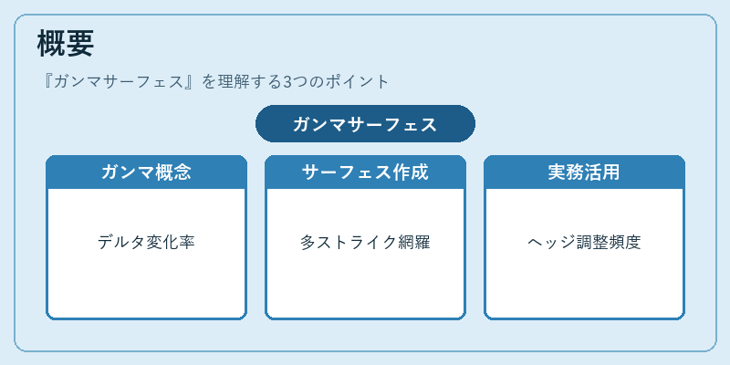 概要（ガンマサーフェス）の図解