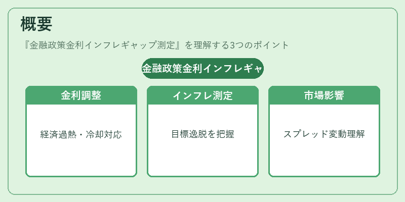 概要(金融政策金利インフレギャップ測定)の図解