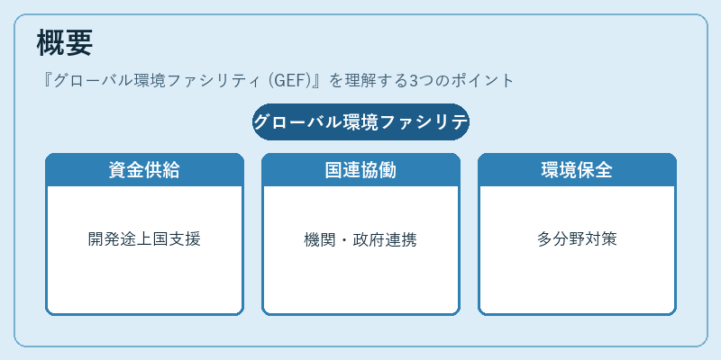 概要(グローバル環境ファシリティ (GEF))の図解