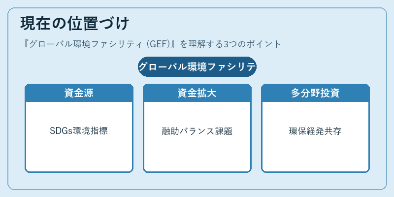 現在の位置づけ(グローバル環境ファシリティ (GEF))の図解