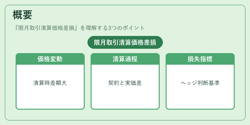 概要（限月取引清算価格差損）の図解