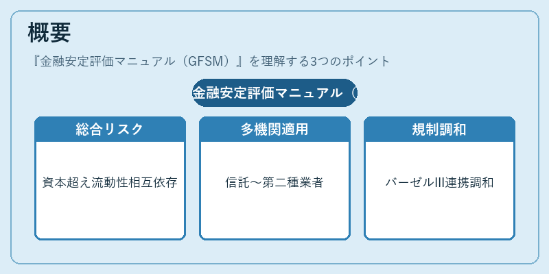 概要（金融安定評価マニュアル（GFSM））の図解