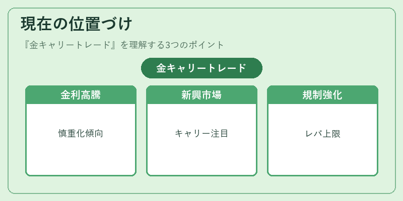 現在の位置づけ（金キャリートレード）の図解
