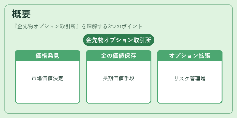 概要（金先物オプション取引所）の図解