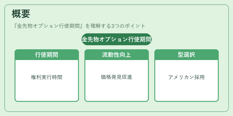 概要(金先物オプション行使期間)の図解