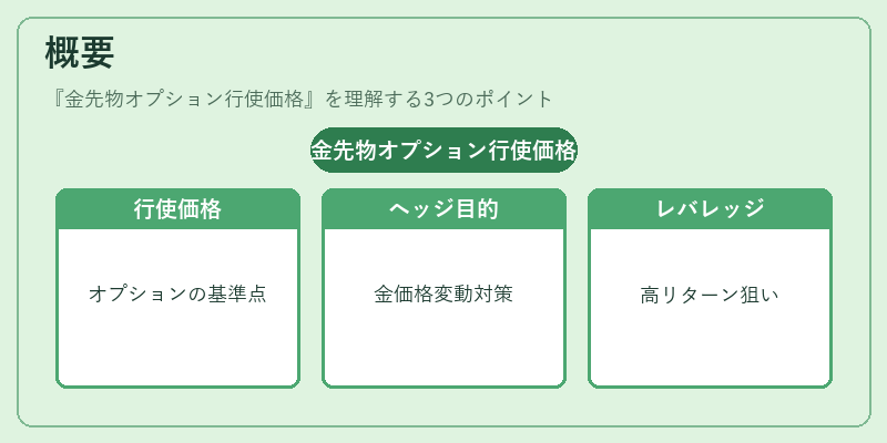 概要(金先物オプション行使価格)の図解