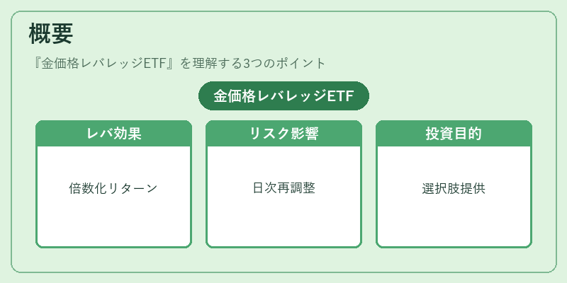 概要（金価格レバレッジETF）の図解