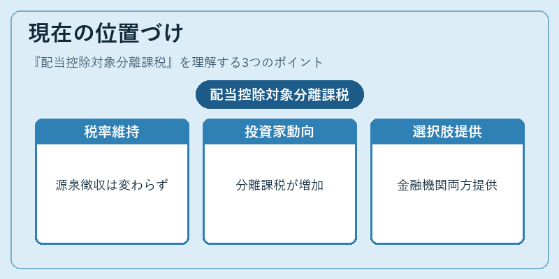 現在の位置づけ（配当控除対象分離課税）の図解