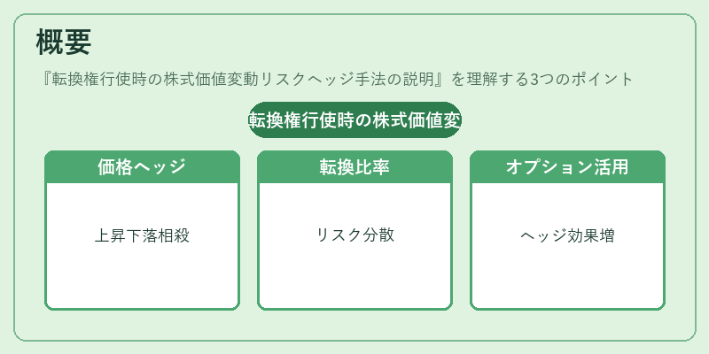 概要(転換権行使時の株式価値変動リスクヘッジ手法の説明)の図解