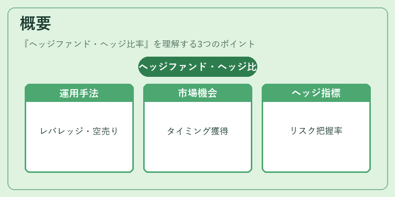 概要（ヘッジファンド・ヘッジ比率）の図解
