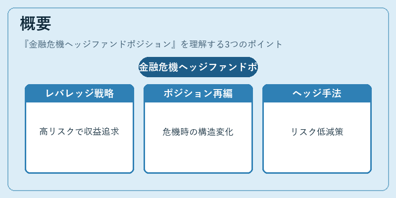 概要（金融危機ヘッジファンドポジション）の図解