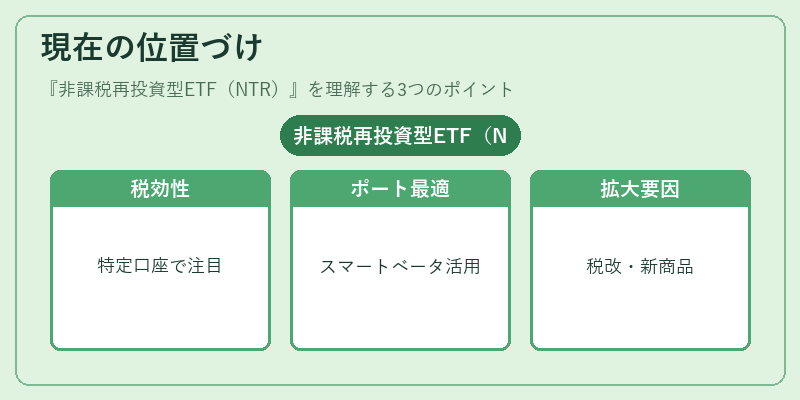 現在の位置づけ（非課税再投資型ETF（NTR））の図解
