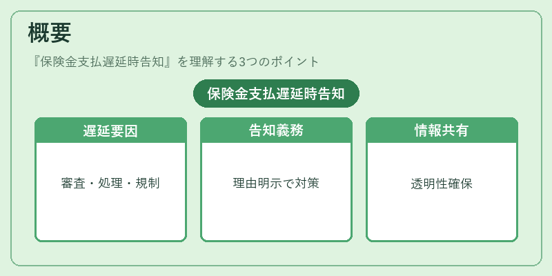 概要（保険金支払遅延時告知）の図解