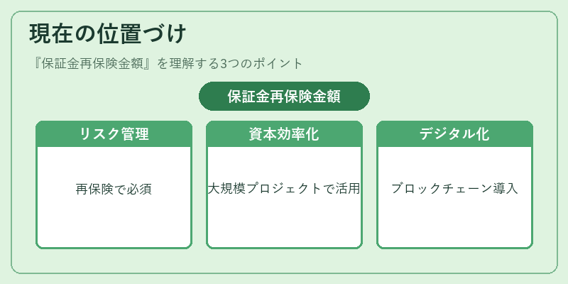 現在の位置づけ(保証金再保険金額)の図解