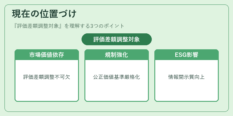 現在の位置づけ（評価差額調整対象）の図解