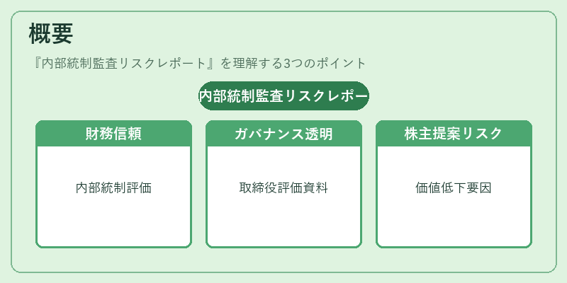 概要(内部統制監査リスクレポート)の図解