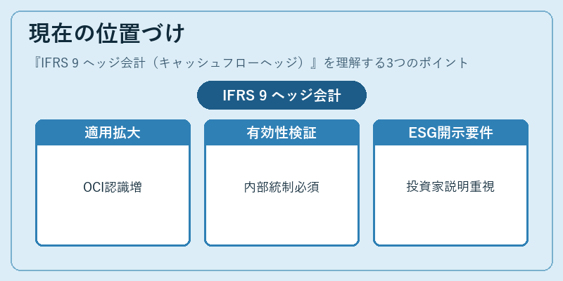 現在の位置づけ(IFRS 9 ヘッジ会計(キャッシュフローヘッジ))の図解