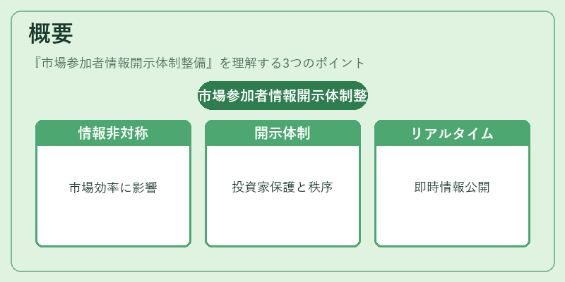 概要（市場参加者情報開示体制整備）の図解