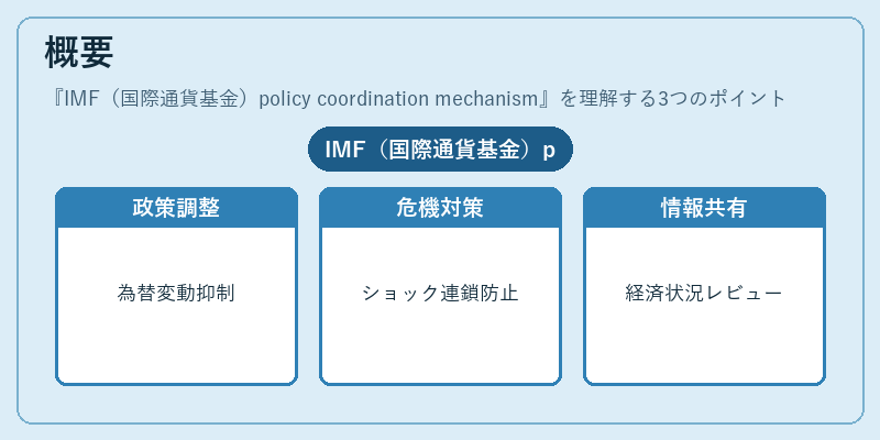 概要（IMF（国際通貨基金）policy coordination mechanism）の図解