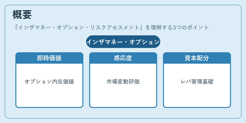 概要（インザマネー・オプション・リスクアセスメント）の図解