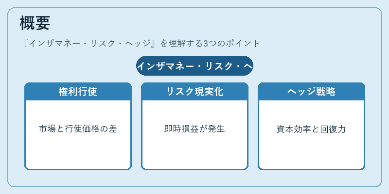 概要（インザマネー・リスク・ヘッジ）の図解