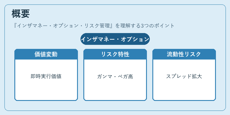 概要（インザマネー・オプション・リスク管理）の図解