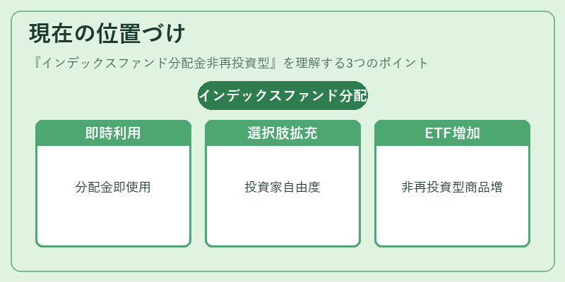 現在の位置づけ（インデックスファンド分配金非再投資型）の図解