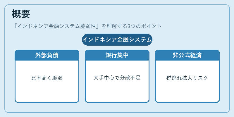 概要（インドネシア金融システム脆弱性）の図解