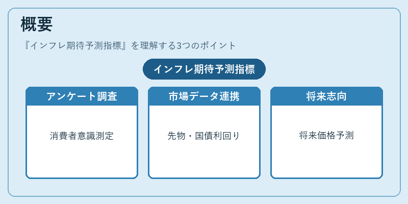 概要（インフレ期待予測指標）の図解