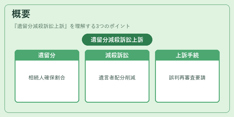 概要（遺留分減殺訴訟上訴）の図解