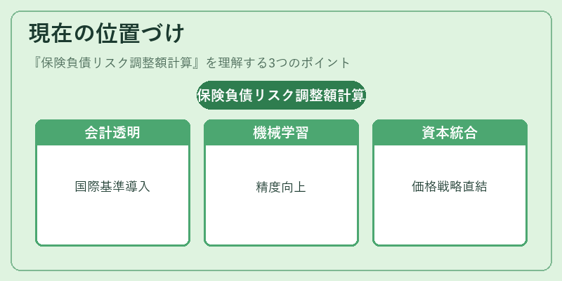 現在の位置づけ(保険負債リスク調整額計算)の図解